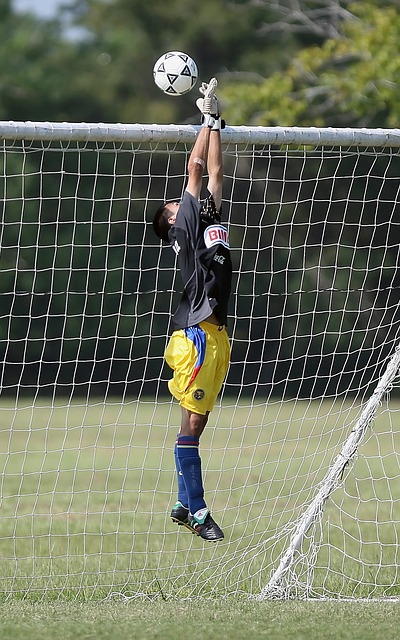 漓尽致的展 漓尽致的展