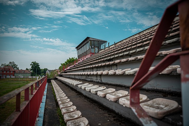 些新面孔的 些新面孔的